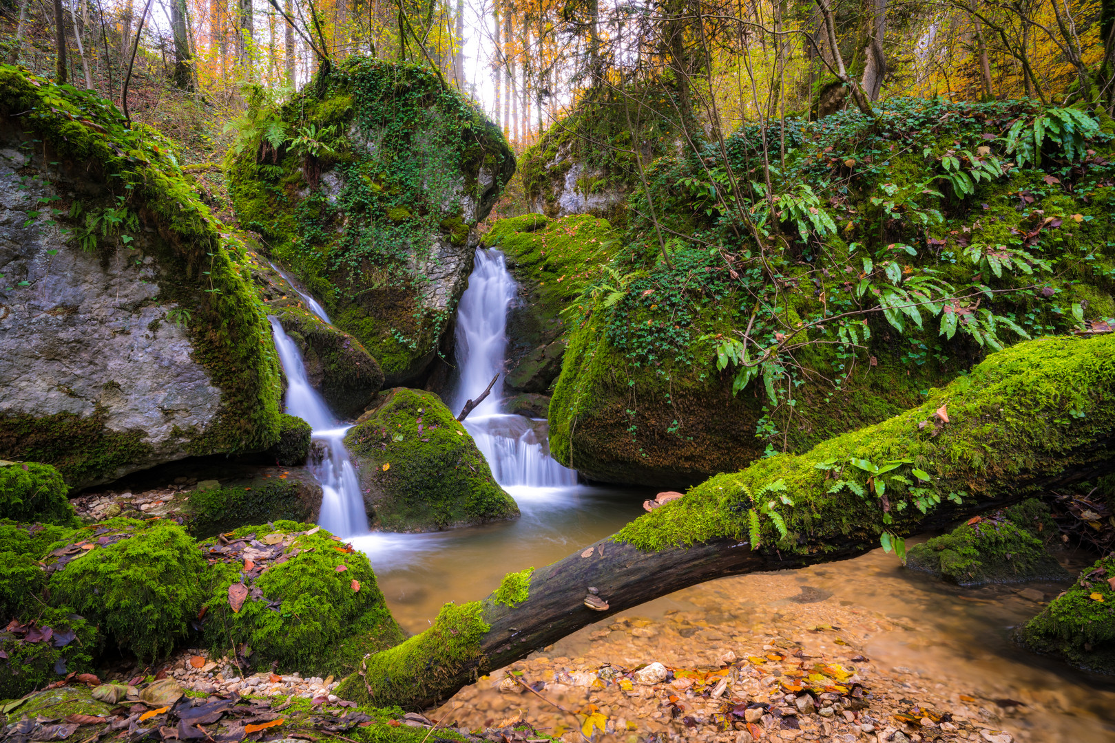 Herbst im Chastelbachtal