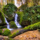 Herbst im Chastelbachtal