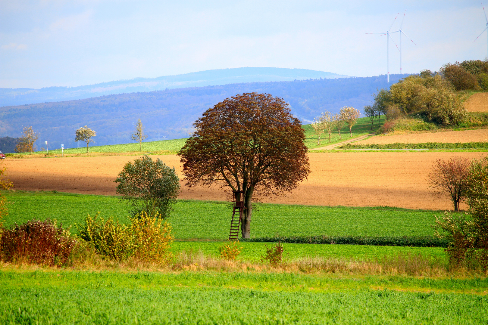 Herbst im Chattengau