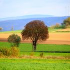 Herbst im Chattengau