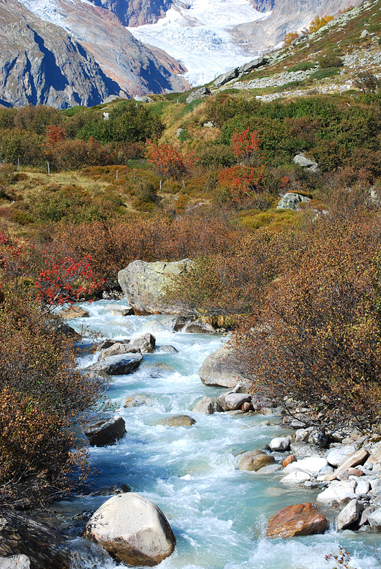 Herbst im Chelenalptal - Urner Alpen