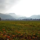 Herbst im Chiemgau