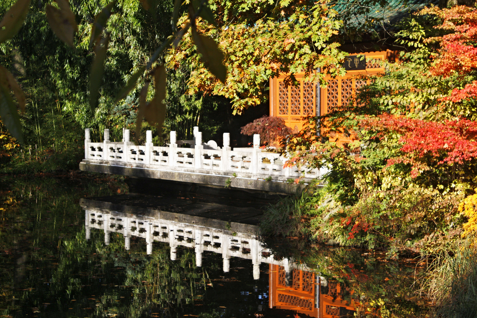 Herbst im Chinesichen Garten