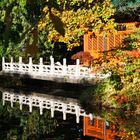 Herbst im Chinesichen Garten