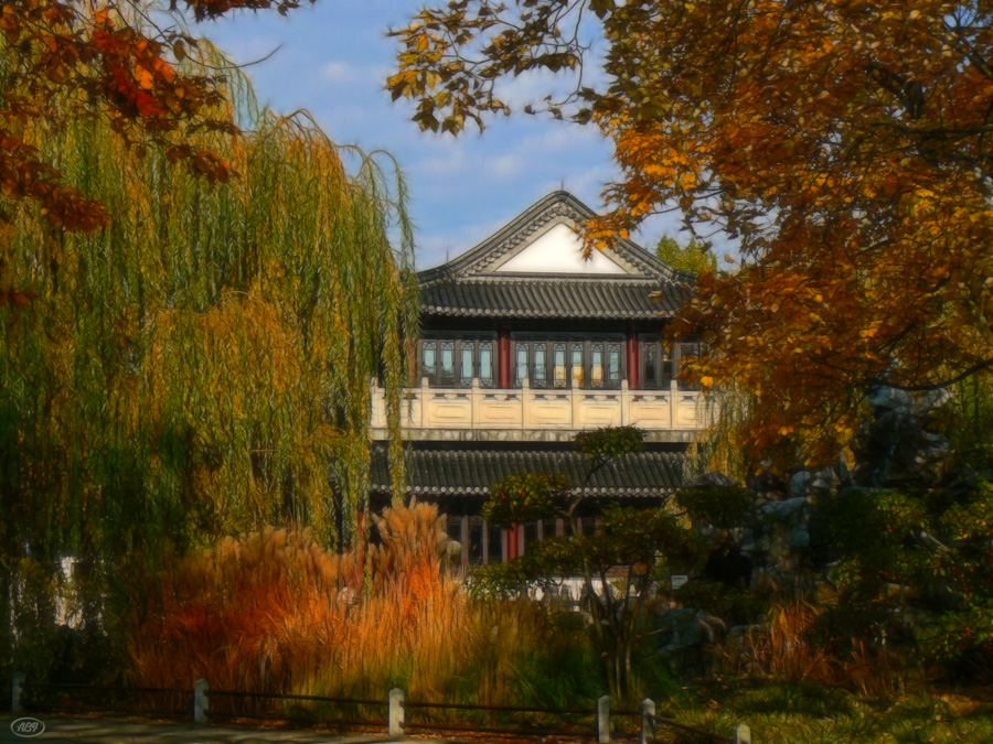 Herbst im chinesischen Garten... (1)