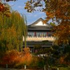 Herbst im chinesischen Garten... (1)