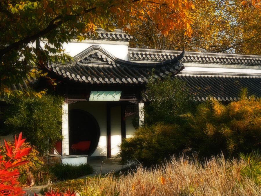 Herbst im chinesischen Garten... (11)