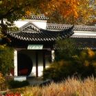 Herbst im chinesischen Garten... (11)