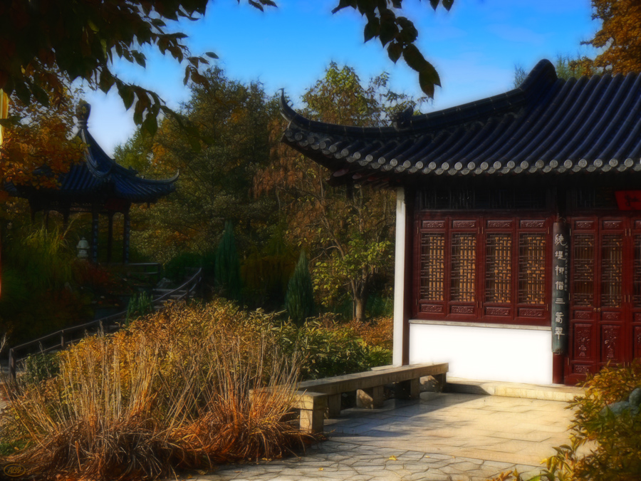 Herbst im chinesischen Garten... (12)