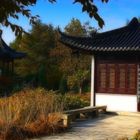 Herbst im chinesischen Garten... (12)