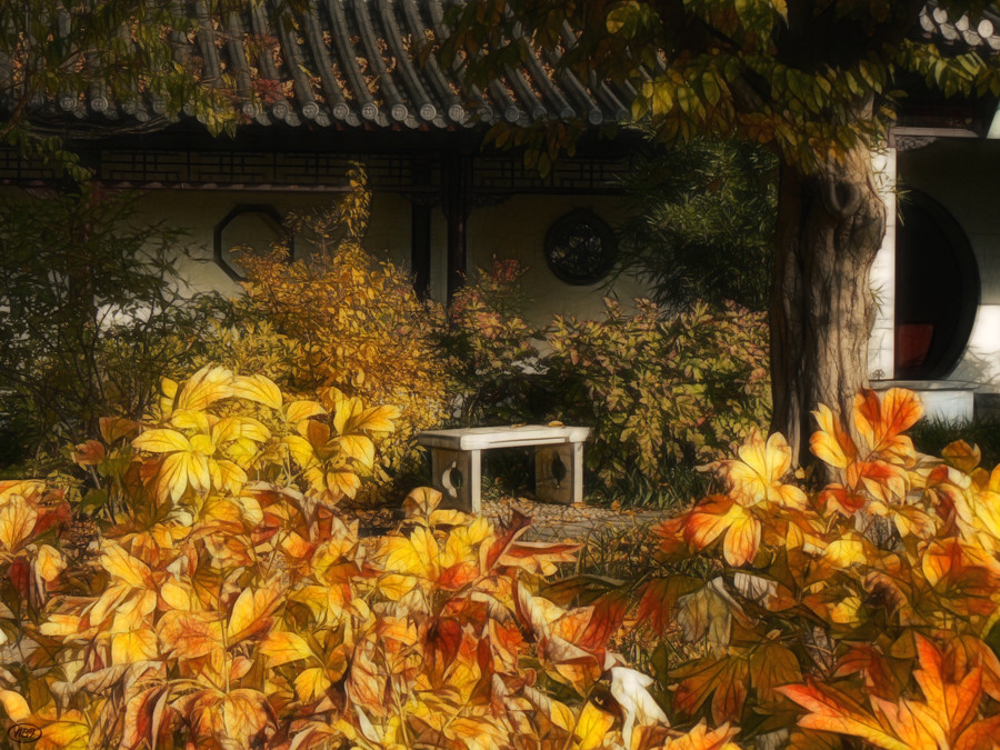 Herbst im chinesischen Garten (13)