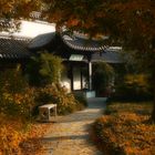 Herbst im chinesischen Garten (14)
