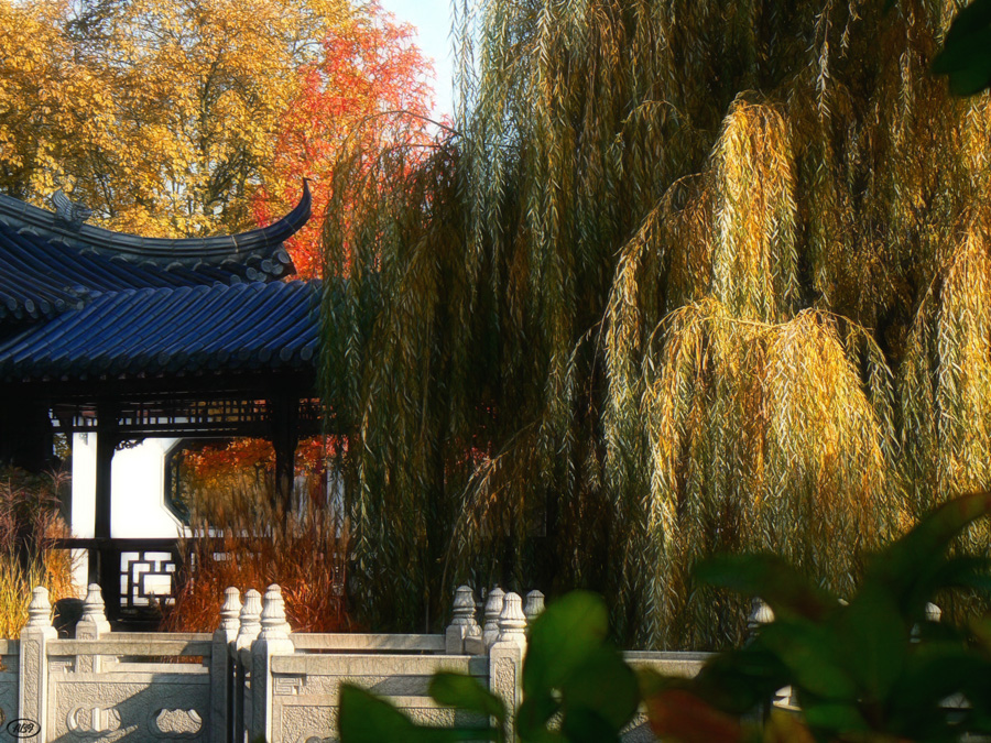 Herbst im chinesischen Garten... (2)