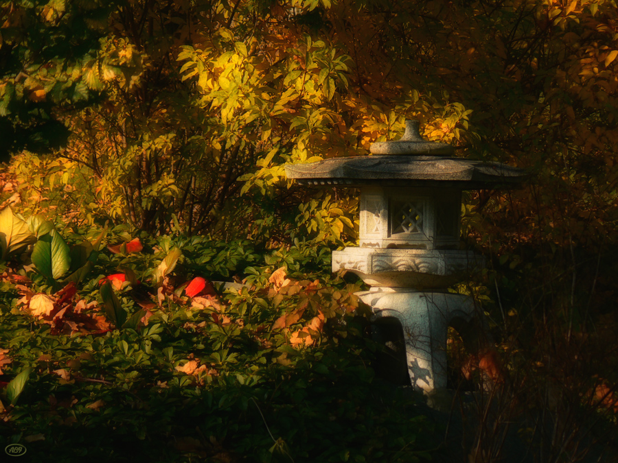 Herbst im chinesischen Garten... (3)