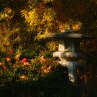 Herbst im chinesischen Garten... (3)