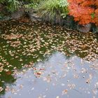 Herbst im Chinesischen Garten