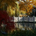 Herbst im chinesischen Garten... (6)