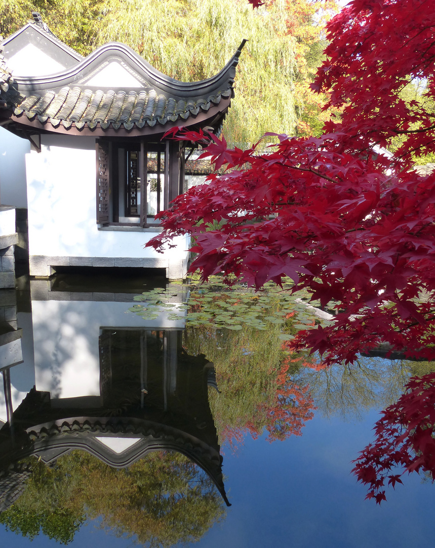 Herbst im Chinesischen Garten