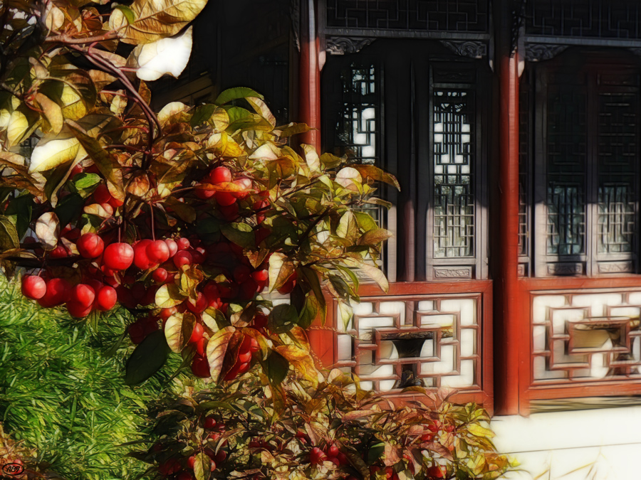 Herbst im chinesischen Garten... (9)