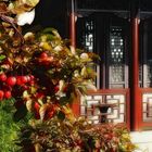 Herbst im chinesischen Garten... (9)