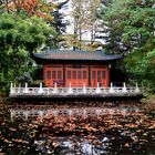 Herbst im "Chinesischen Garten" des Duisburger Zoos 2