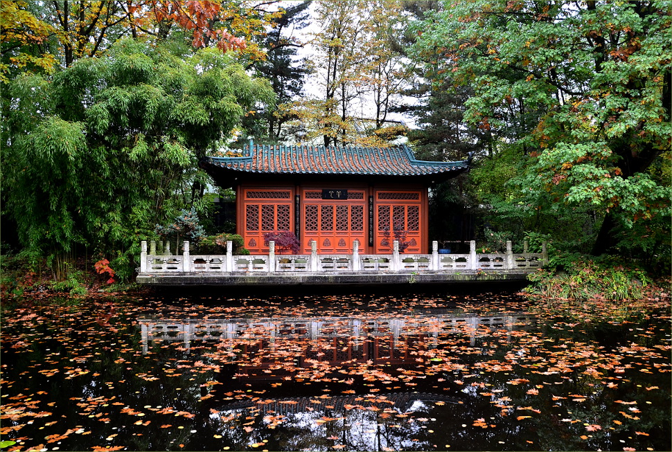 Herbst im "Chinesischen Garten" des Duisburger Zoos 2 Foto & Bild
