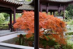 Herbst im Chinesischen Garten I