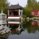 Herbst im chinesischen Garten in Berlin