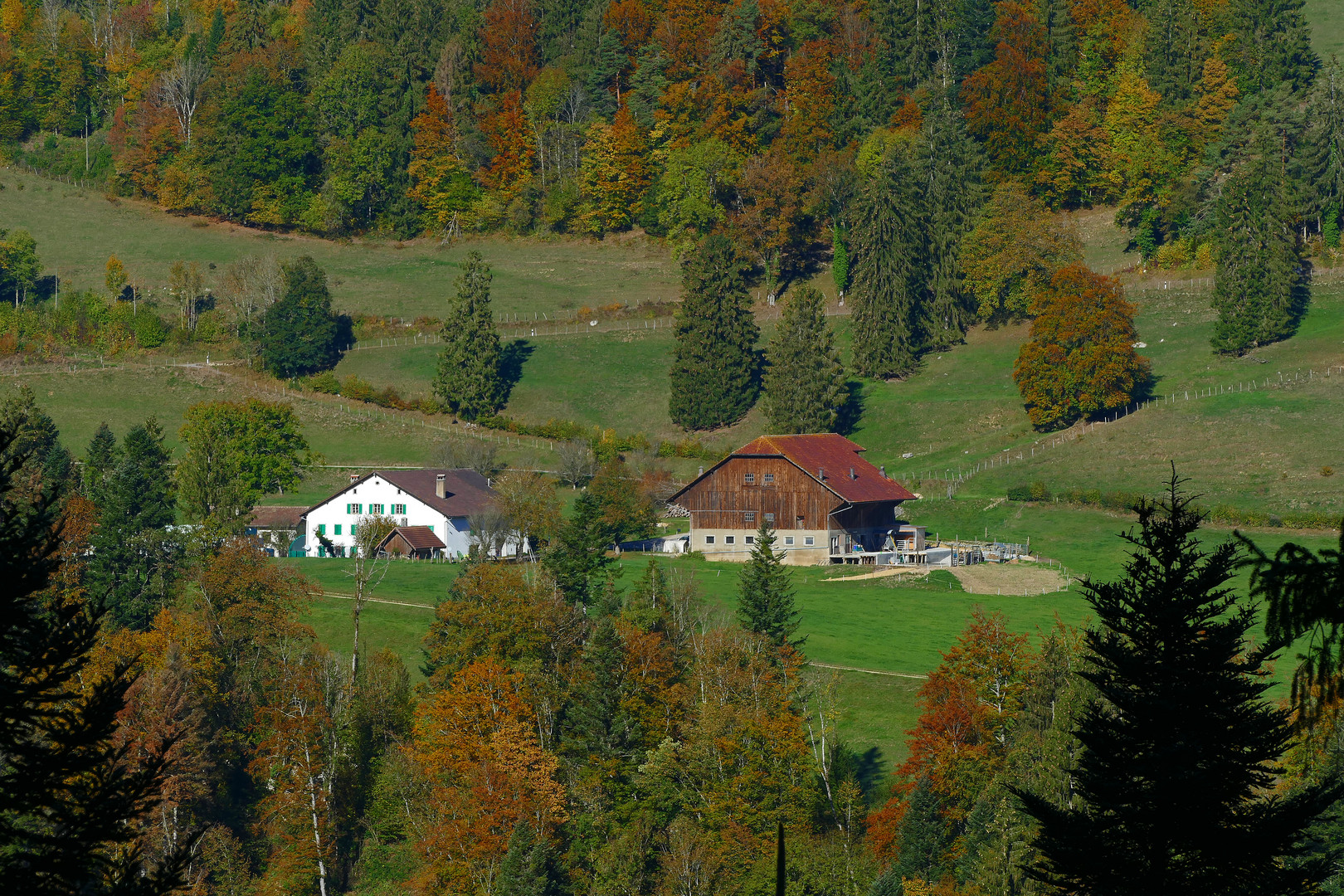 Herbst im Clos de Doubs