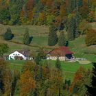 Herbst im Clos de Doubs