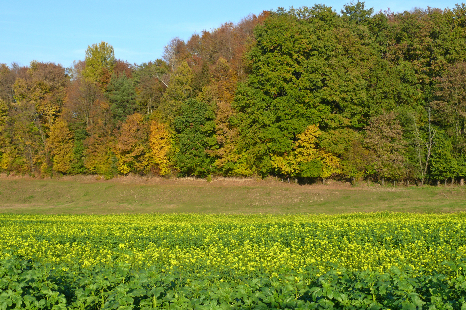 Herbst im Dachauer Hinterland III