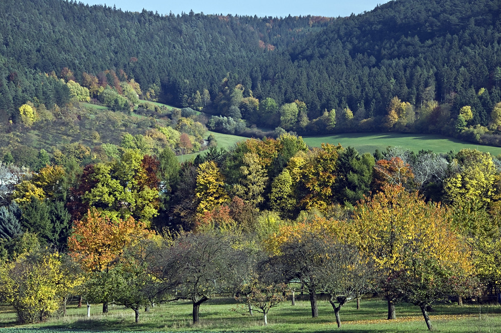 Herbst im Dachstal