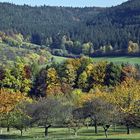 Herbst im Dachstal