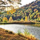 Herbst im Dahner-Felsenland