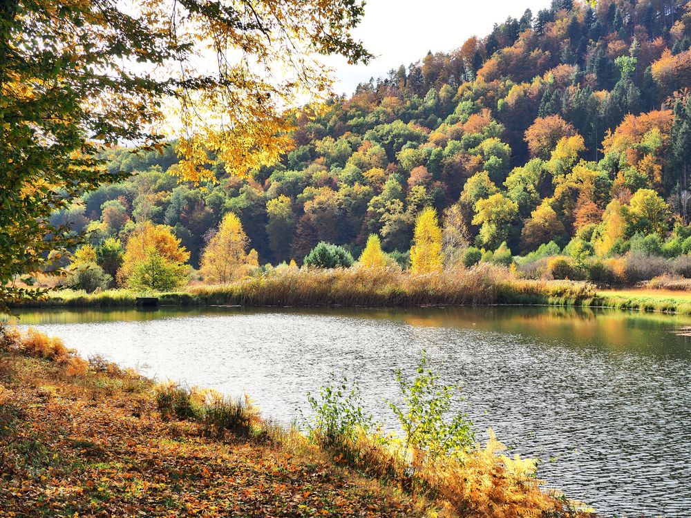 Herbst im Dahner-Felsenland