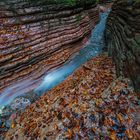 Herbst im Davidgraben