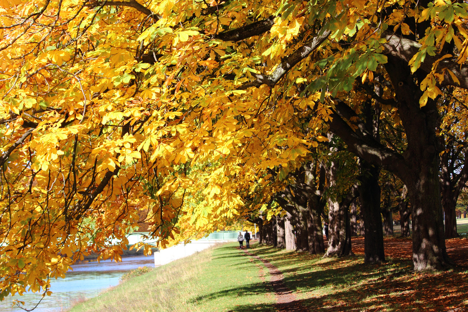 Herbst im Decksteiner weiher