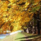 Herbst im Decksteiner weiher