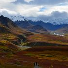 Herbst im Denali