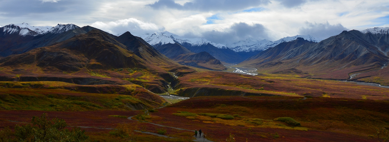 Herbst im Denali