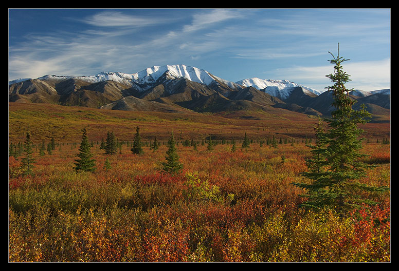 Herbst im Denali (reload)