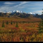 Herbst im Denali (reload)