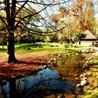 Herbst im der Langen Erlen