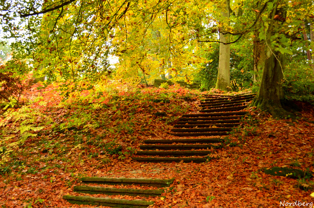 Herbst im DFG Deutsch Französicher Garten in Saarbrücken.