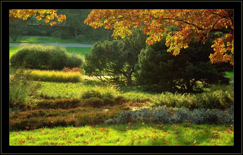 Herbst im DFG (rel.)