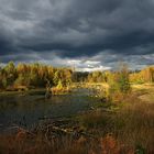 Herbst im Diepholzer Moor 2