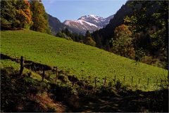 Herbst im Dietersbachtal 4