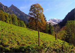 Herbst im Dietersbachtal 7