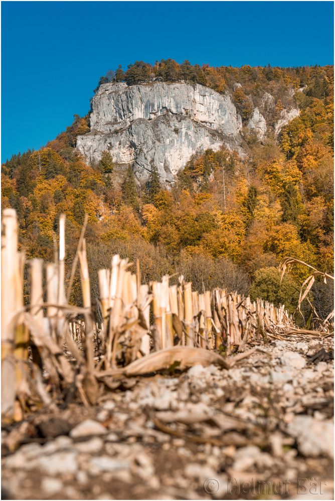 Herbst im Donautal