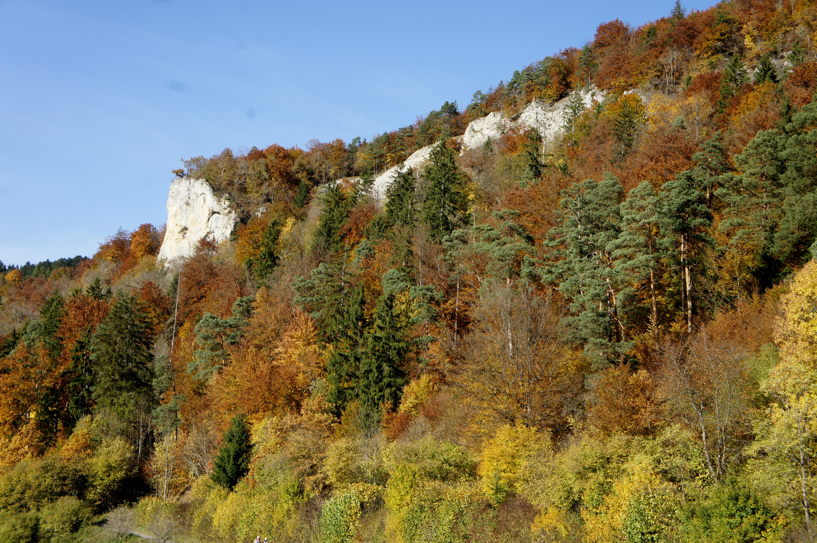 Herbst im Donautal 2
